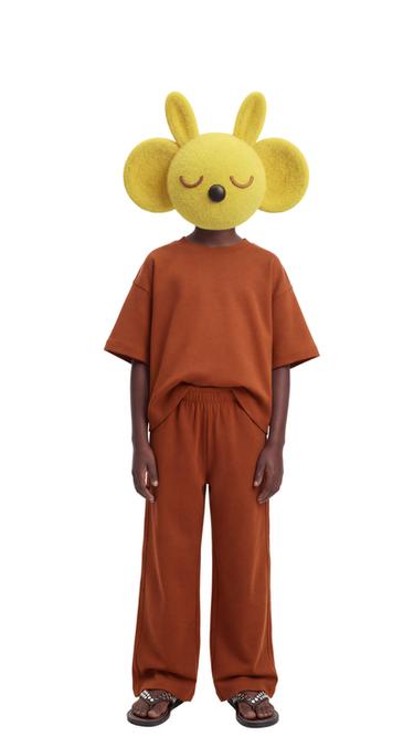 PLAIN HEAVY JERSEY T-SHIRT - Terracotta by Zara