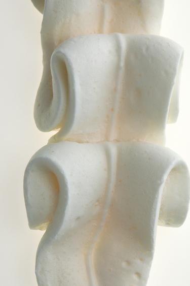 FIELDS AT NIGHTFALL SUMMER EDP 100ML (3.4 FL. OZ). -  de Zara - Image 2