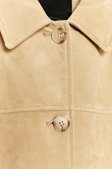 BLOUSON EN CUIR DAIM ZW COLLECTION ÉDITION LIMITÉE - Bis de Zara - Image 4