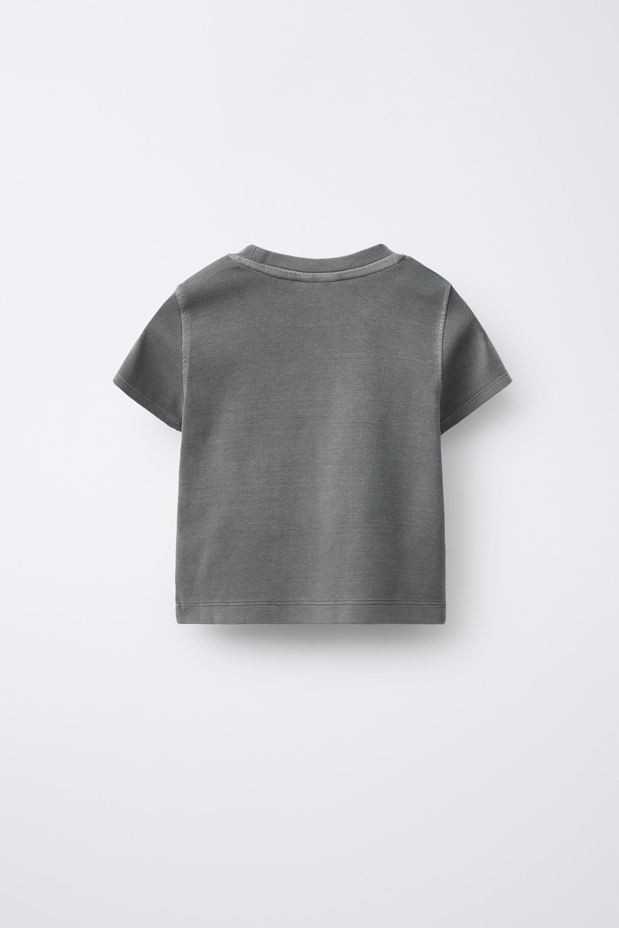 テキストプリントTシャツ - グレー | ZARA Japan / 日本