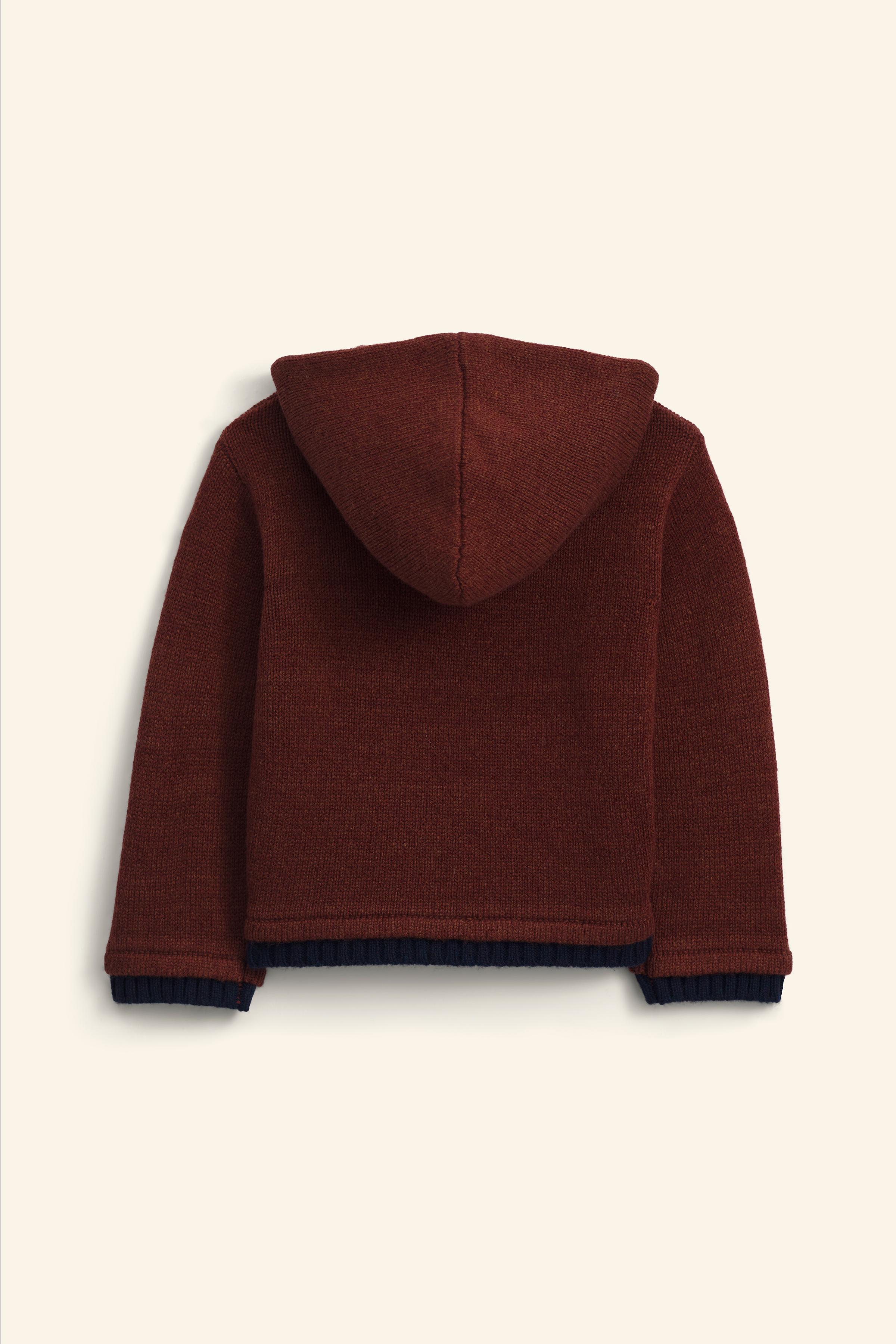 LIMITED EDITION ニットセーター - レッドブラウン | ZARA Japan / 日本