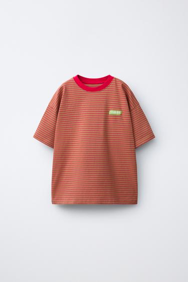 PUKAS SURF STRIPED PRINT T-SHIRT - Brown by Zara