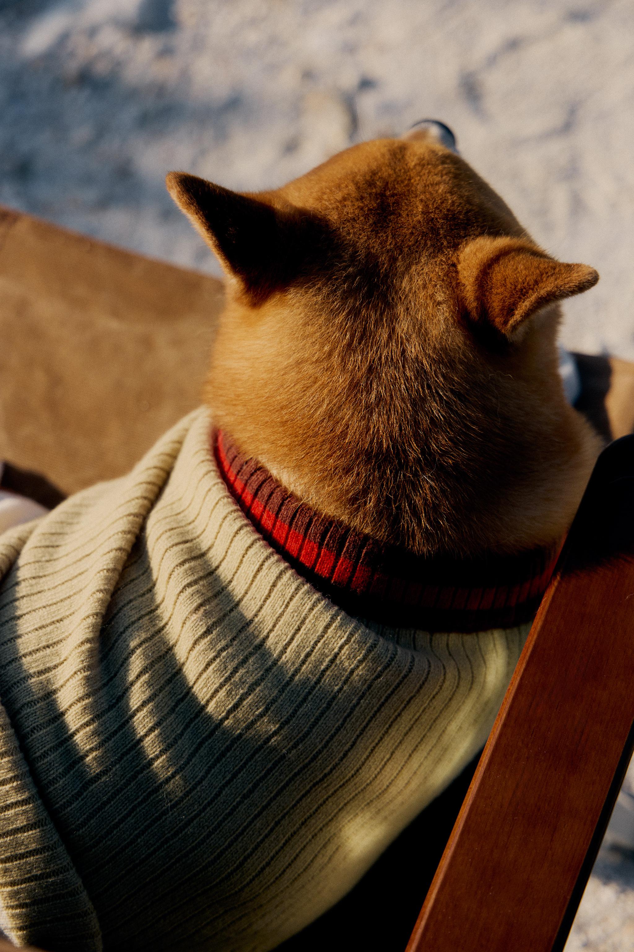 RIBBED PET SWEATER — Light green