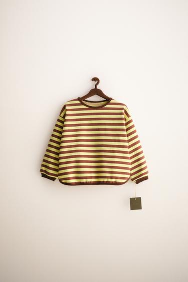 ZARA TIMELESS - SWEAT À RAYURES - Chocolat de Zara - Image 0