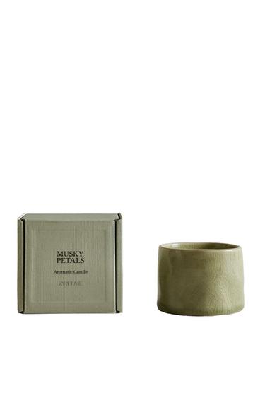 (150 G) BOUGIE PARFUMÉE MUSKY PETALS - Beige-marron de Zara
