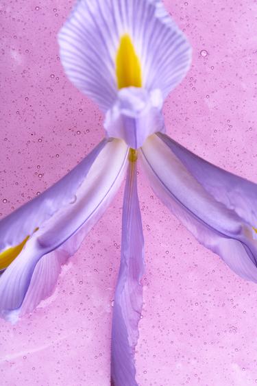 VIOLET BLOSSOM CANDY EDP 90ML (3.04 FL. OZ). - ΕΤΟΙΜΟ ΓΙΑ ΒΑΦΗ του Zara