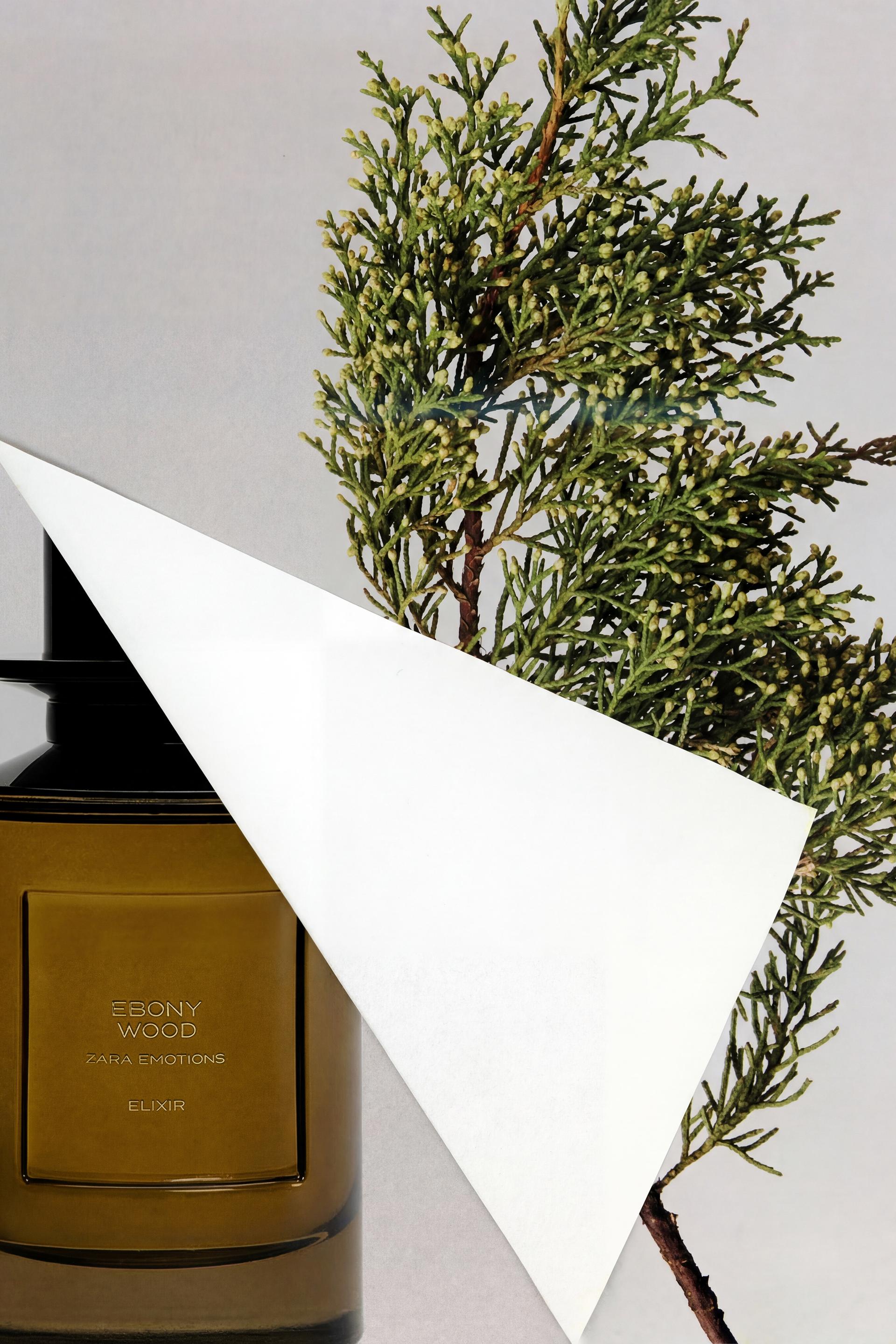 zara ebony wood elixir