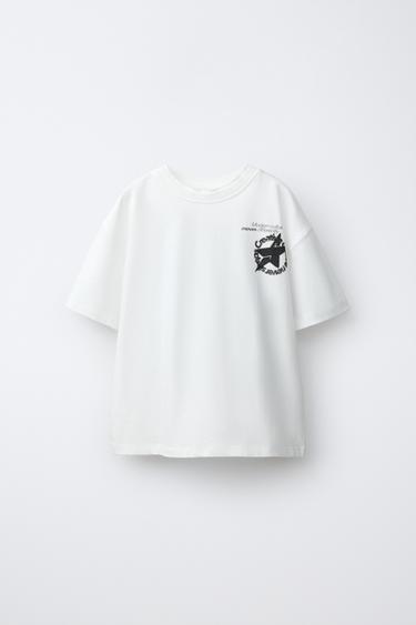CAMISETA ESTAMPADO EFECTO SPRAY - Blanco roto de Zara