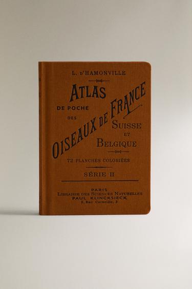 ATLAS DE POCHE DES OISEAUX DE FRANCE SÉR. 2 BOOK - Ochre by Zara - Image 0