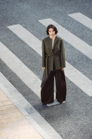 Zara ZARA WOMAN COLLECTION 飄逸打褶長褲 - 棕色