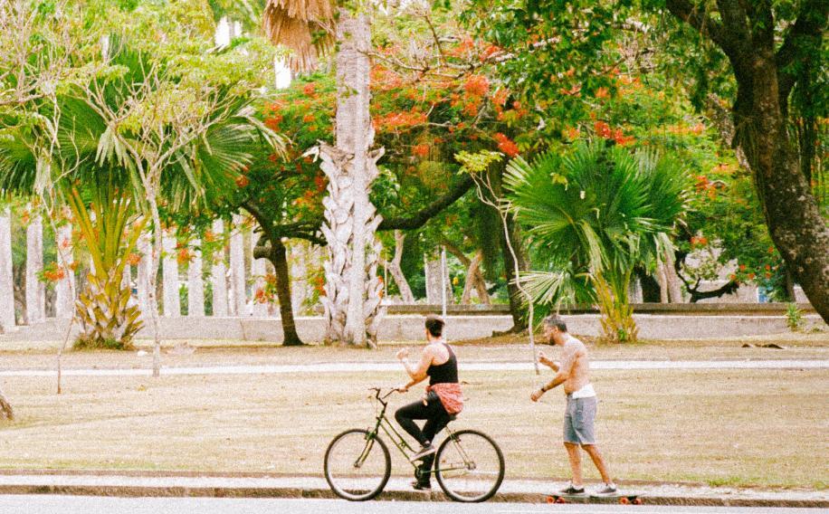 Rio De Janeiro The Guides | ZARA United States