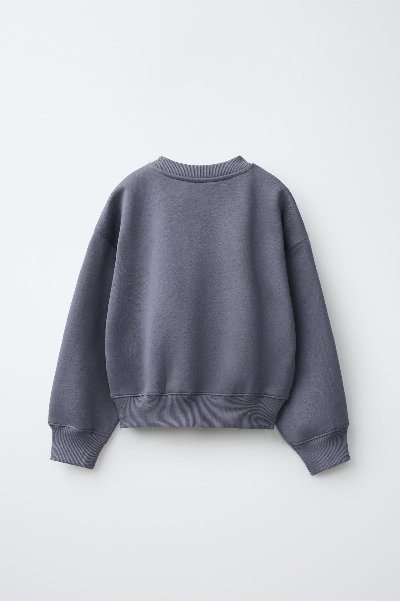 VARSITY PRINT SWEATSHIRT — Faded blue