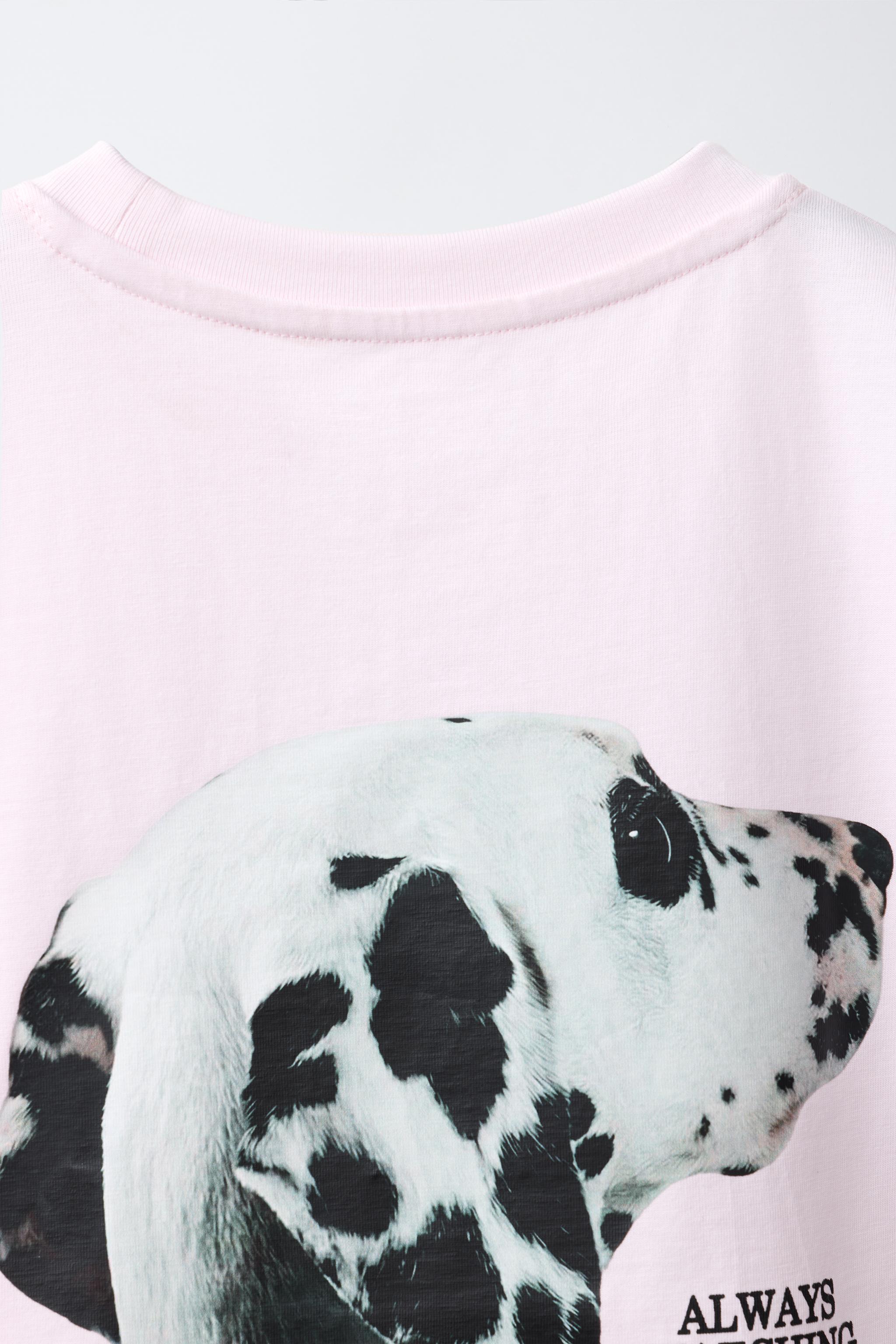 DOG PRINT T-SHIRT