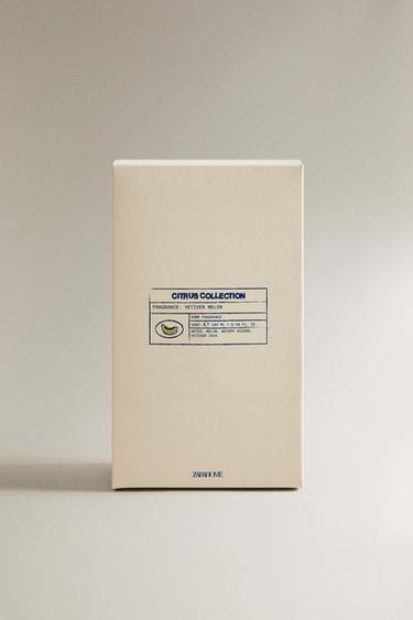 (180 ML) DIFFUSEUR EN STICKS VETIVER MELON - Vert bouteille foncé de Zara - Image 3