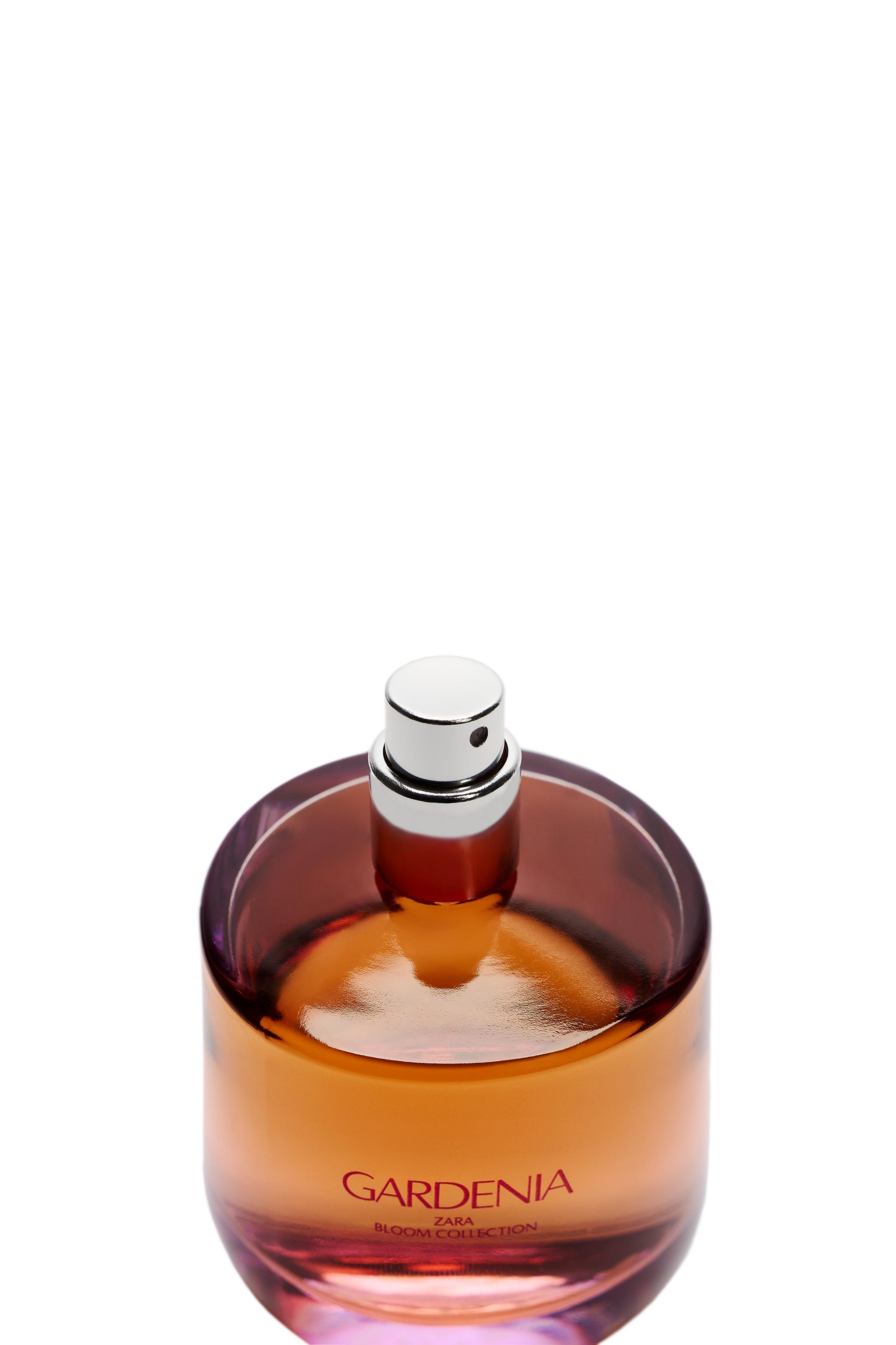 GARDENIA EDP 90 ML (3.04 FL. OZ) | ZARA United States