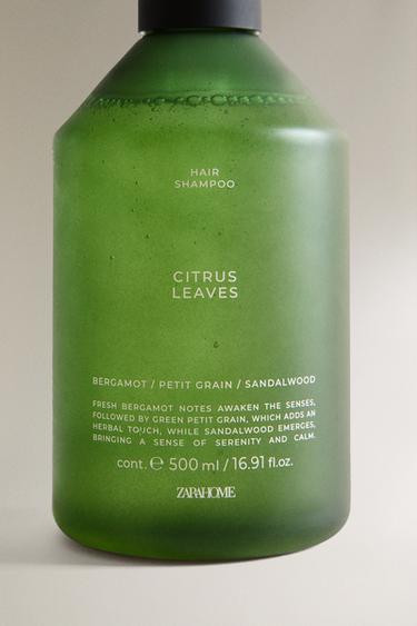 (500 ML) SHAMPOOING LIQUIDE CITRUS LEAVES - Vert moyen de Zara - Image 4