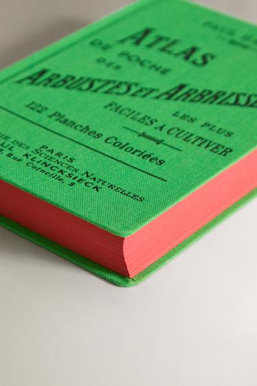 ATLAS DE POCHE DES ARBUSTES ET ARBRISSEAUX BOOK - Green by Zara - Image 2