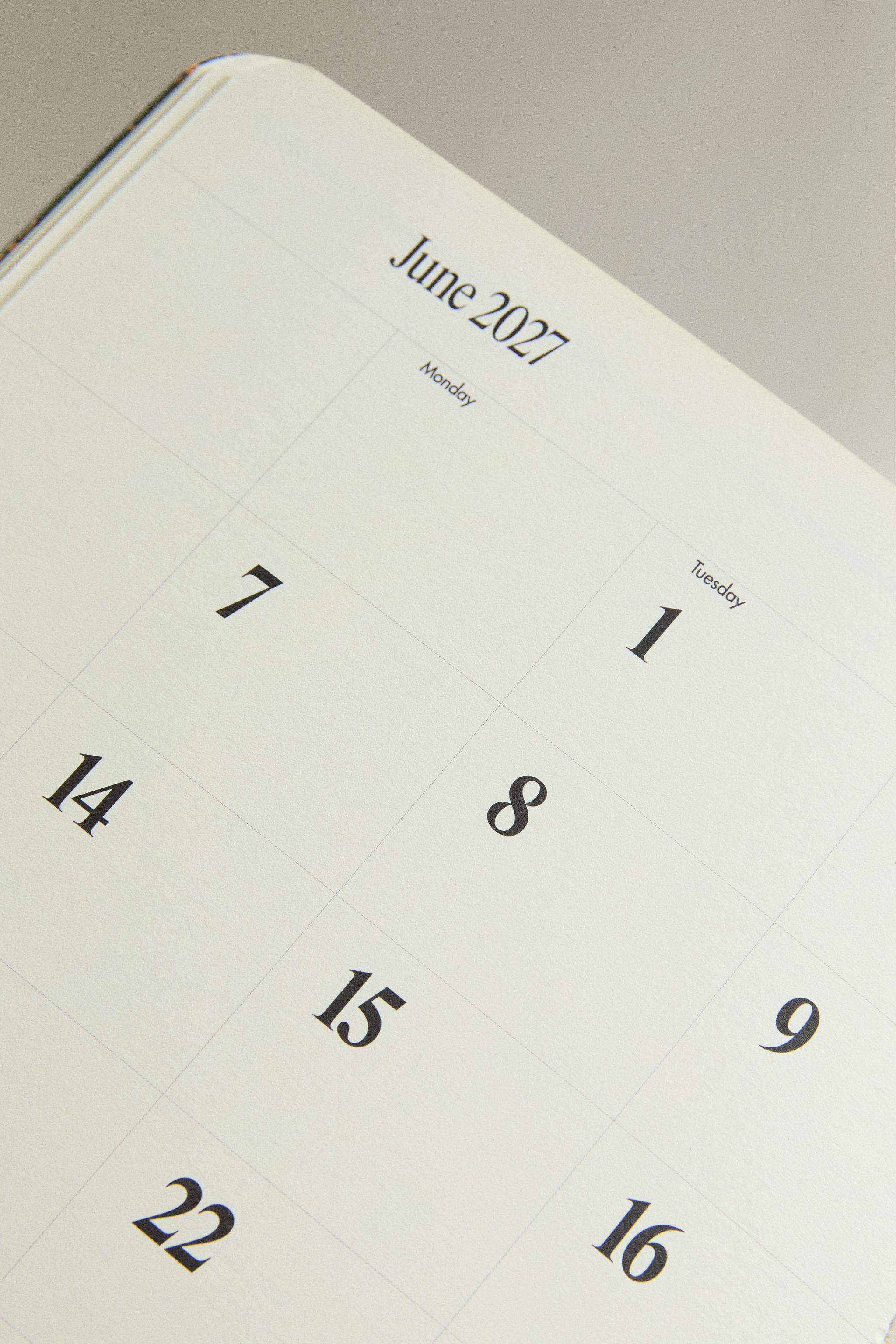 WEEKLY AND MONTHLY PLANNER PACK (PACK OF 2)