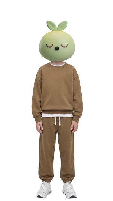 BASIC SWEATSHIRT — taupe brown 1