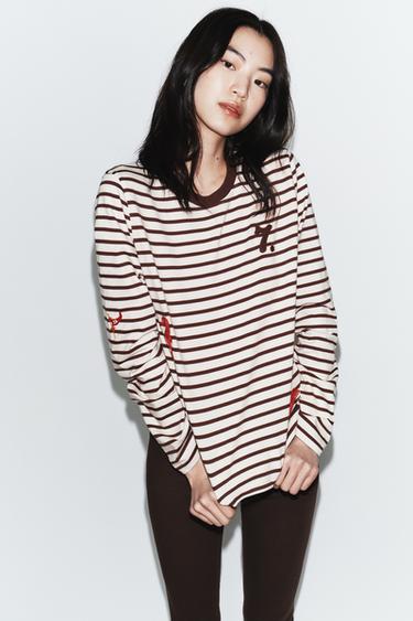 EMBROIDERED STRIPED T-SHIRT - Brown Stripes by Zara