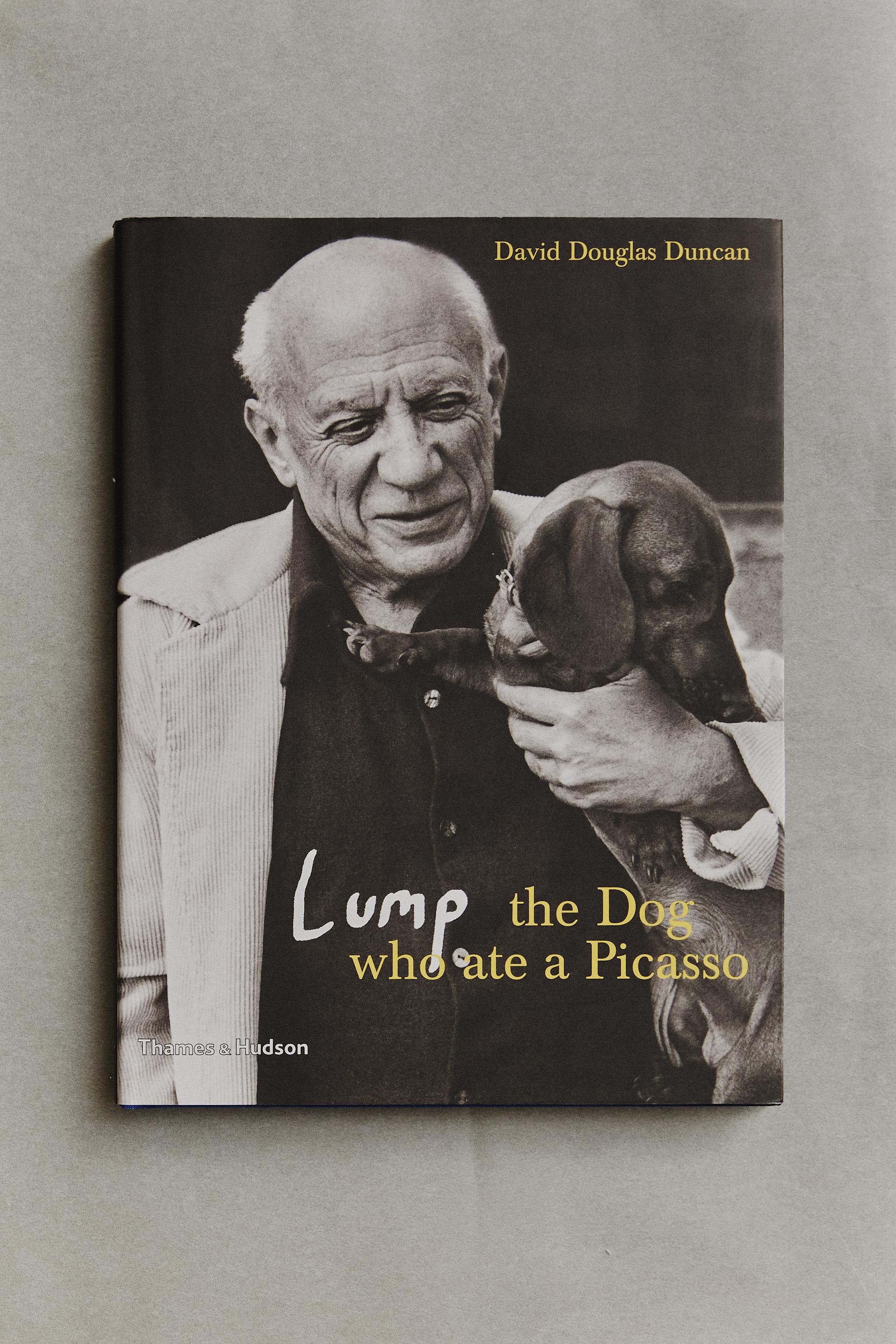LUMP THE DOG WHO ATE A PICASSO BOOK (ENGLISH)