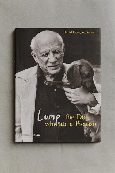 LUMP THE DOG WHO ATE A PICASSO BOOK (ENGLISH) - Black by Zara - Image 4