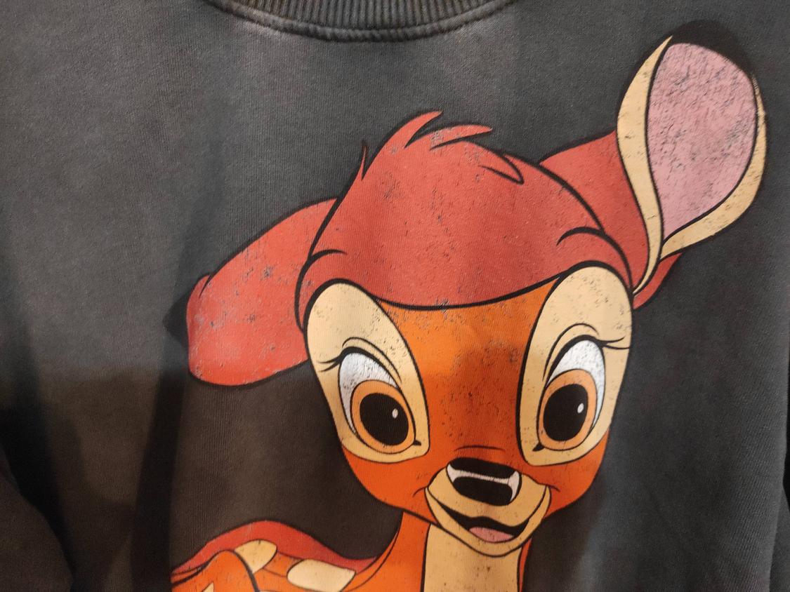 BAMBI © DISNEY HOODIE - Image 4