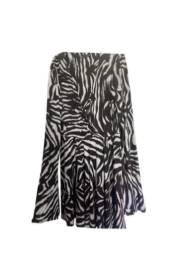 ZEBRAKLEID