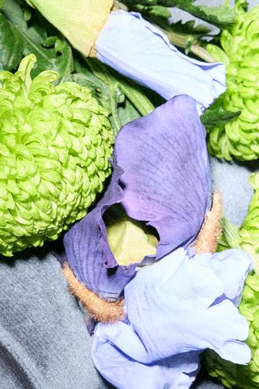 ROMANCE D´IRIS PARFUM 100ML (3.4 FL. OZ). -  de Zara - Image 1