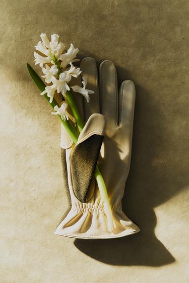 GANTS CUIR JARDIN - Vert / Écru de Zara