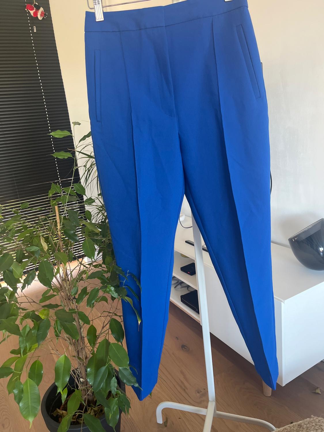 Blue trousers hanging on a white clothes rack next to a potted plant. Background with black blind and white cabinet.