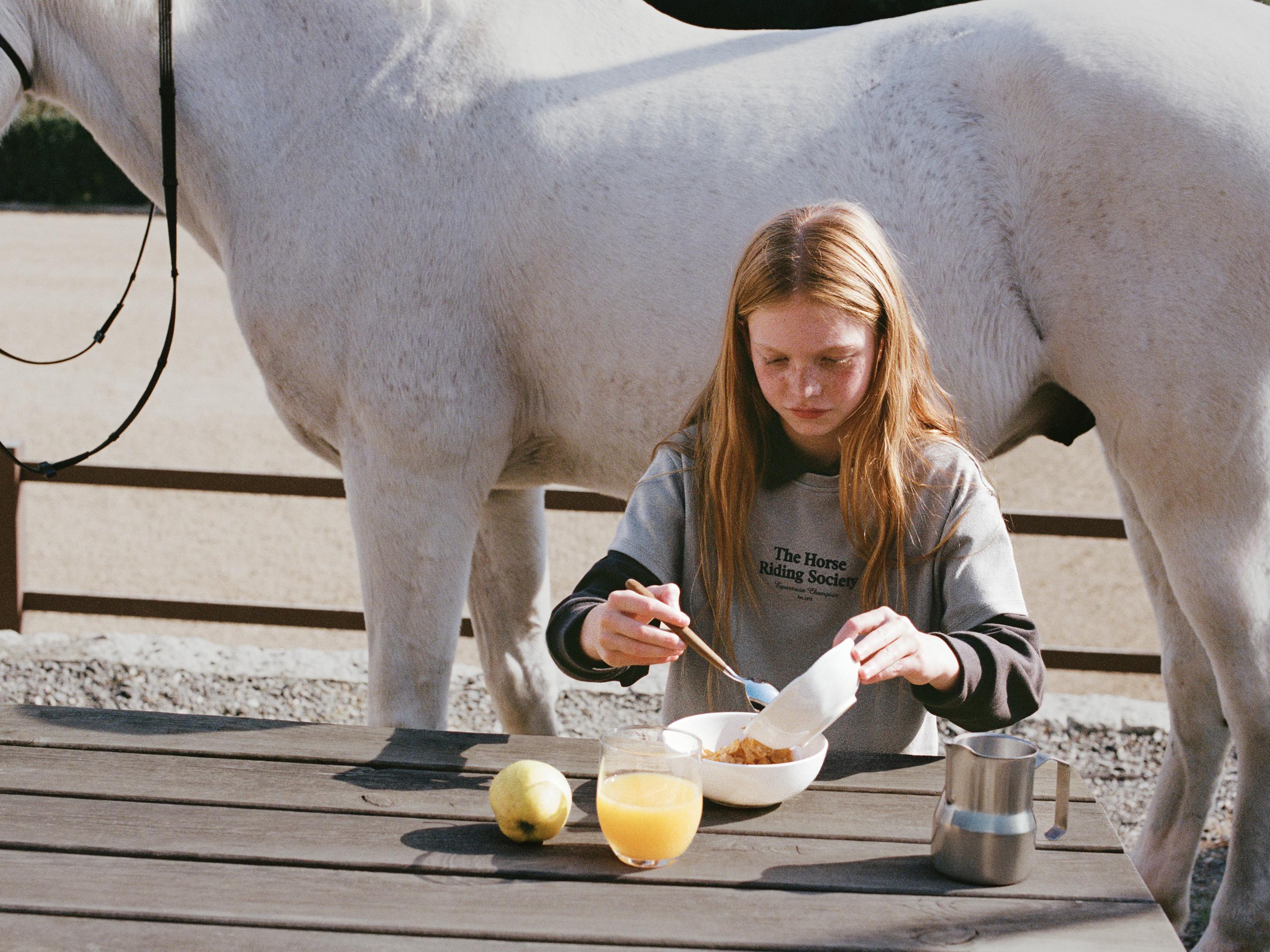 乗馬セット 24- Ninja ZX-6R NASSERT-Evolution TypeⅡ スリップオンマフラー