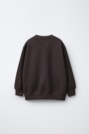 FLOCK CHERRY CAPYBARA CAPYFUN © SWEATSHIRT - Brown by Zara - Image 1