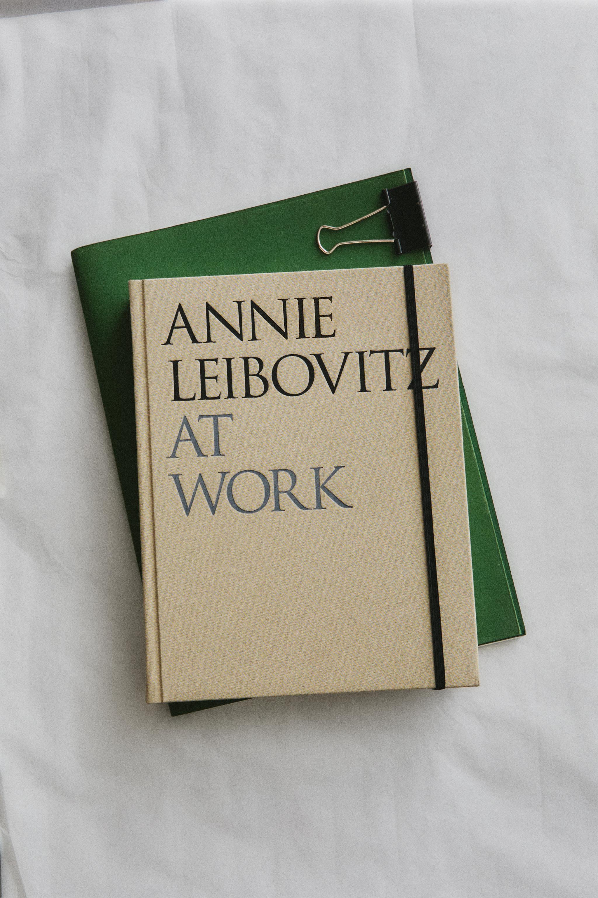 ANNIE LEIBOVITZ AT WORK BOOK - Light beige | ZARA United States