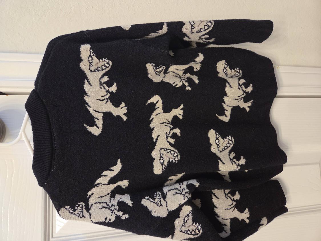 DINOSAUR SWEATER - Image 2