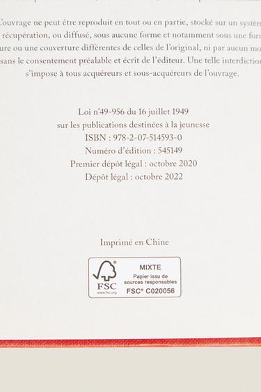 LIVRE HARRY POTTER ET LA PIERRE PHILOSOPHALE (FRANÇAIS) - Multicolore de Zara - Image 5