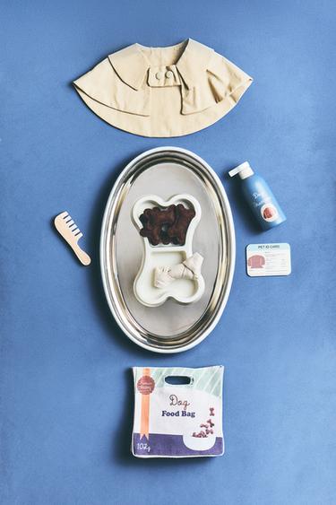 JOUET ENFANT ENSEMBLE CHIEN - Multicolore de Zara - Image 7