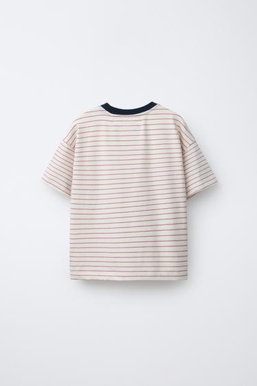 STRIPED T-SHIRT WITH CONTRAST NECKLINE - striped by Zara - Image 1