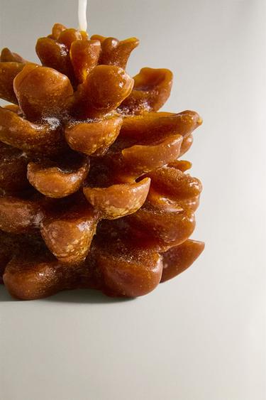 PUMPKIN SPICE SCENTED PINE CONE CANDLE - Pumpkin by Zara - Image 2