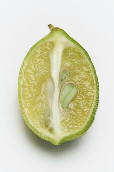 CHEMISE À RAYURES EDP 100ML (3.4 FL.OZ). -  de Zara - Image 1