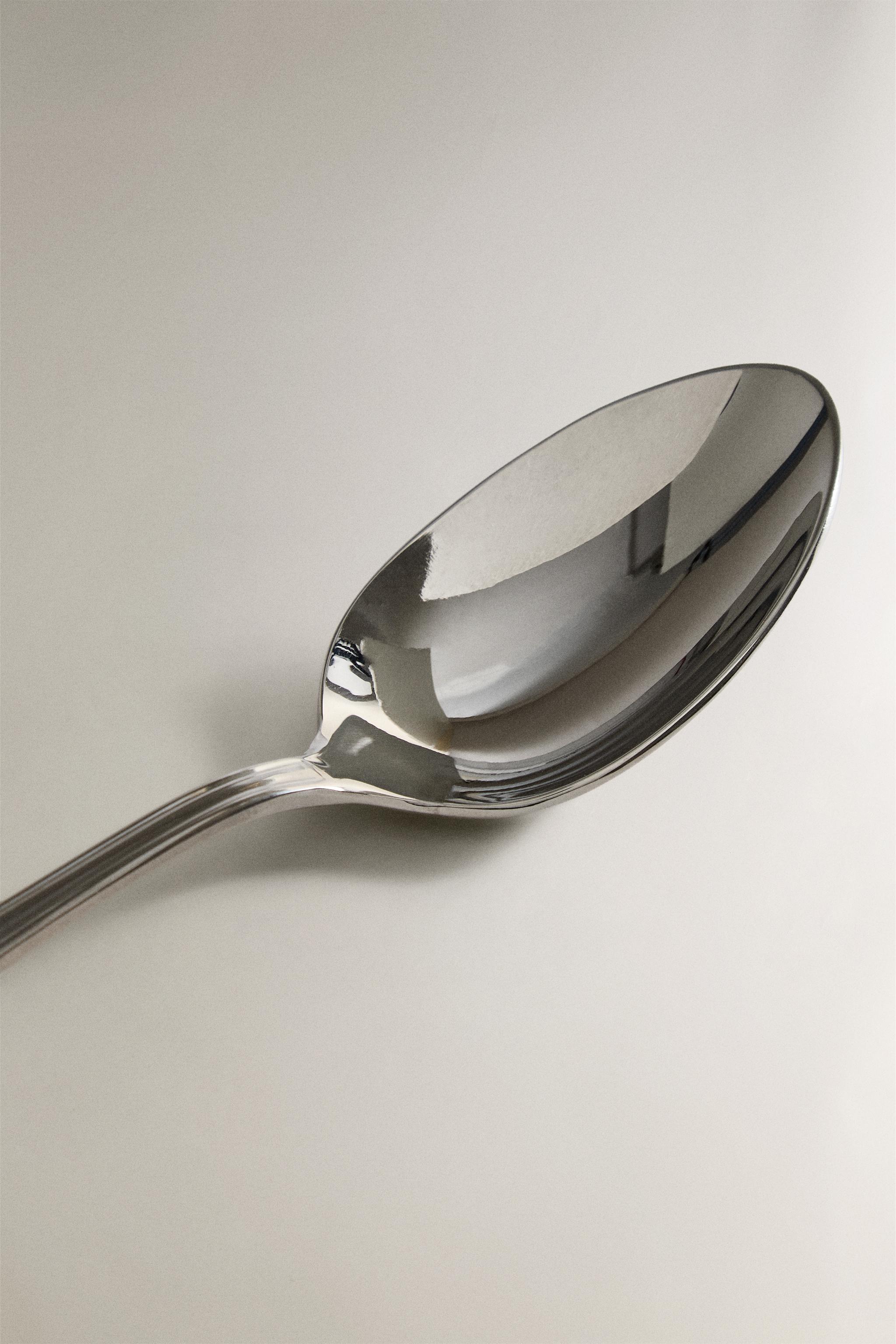 SHINY STEEL SPOON