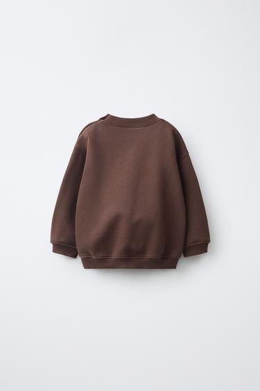 GARMENT-DYED SOLID SWEATSHIRT — Brown 2