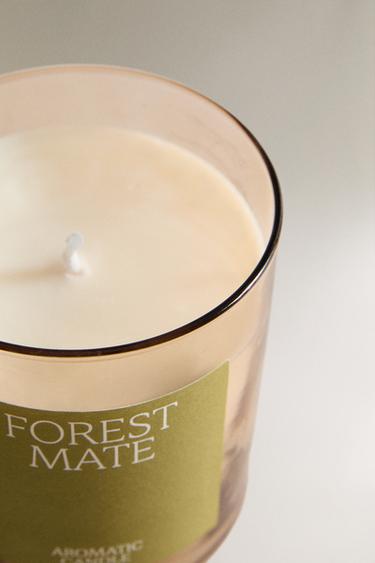 (250 G) FOREST MATE SCENTED CANDLE - Light green by Zara - Image 2