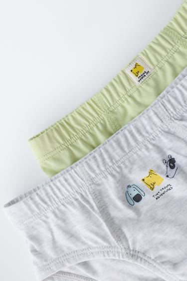 1 1/2-6 YEARS/ SIX-PACK OF PUPPY BRIEFS - Multicoloured by Zara - Image 5