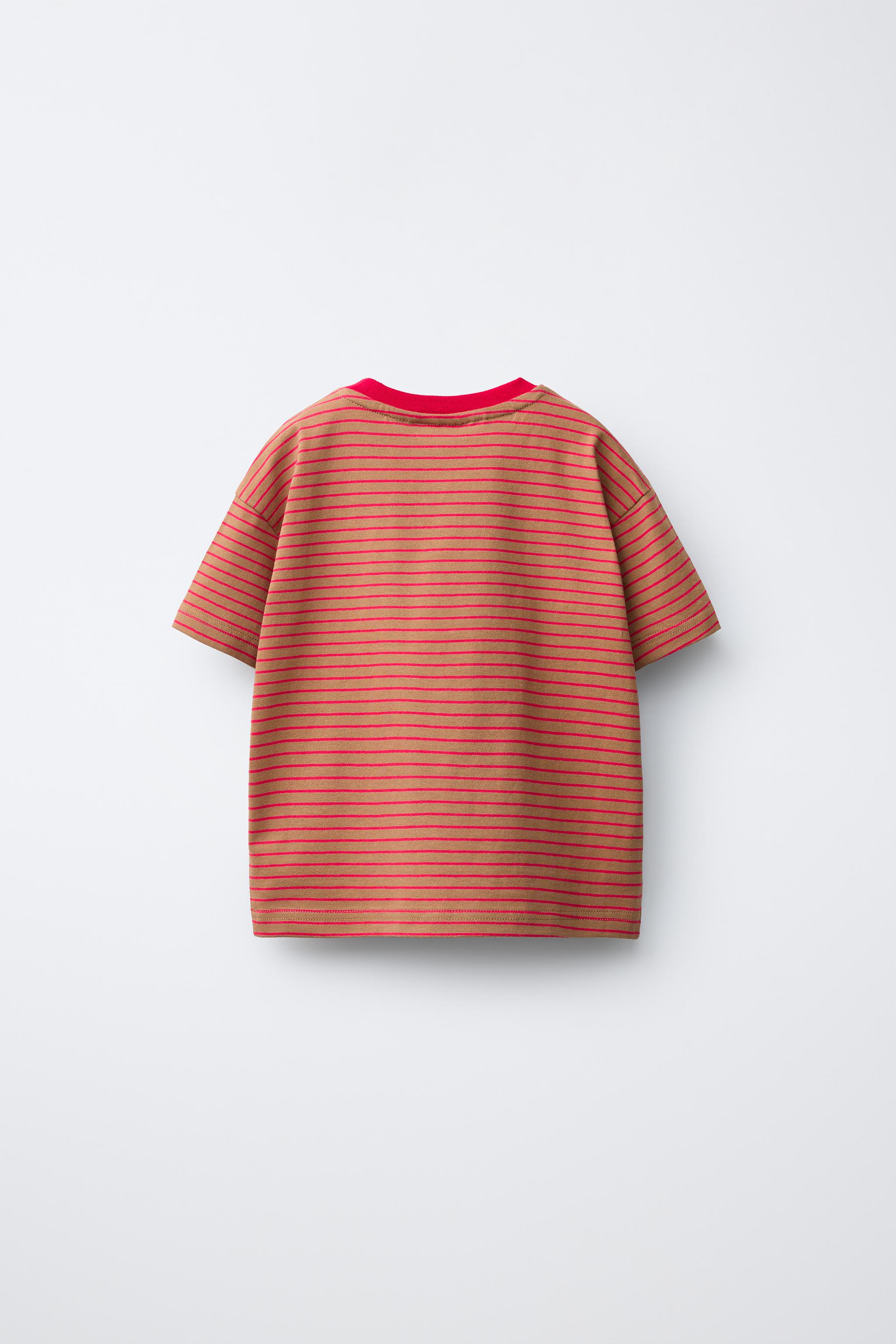 PUKAS SURF STRIPED T-SHIRT — Brick