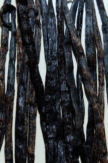 FIERCE LOVE EDP 80ML (2.71 FL. OZ). -  by Zara - Image 2