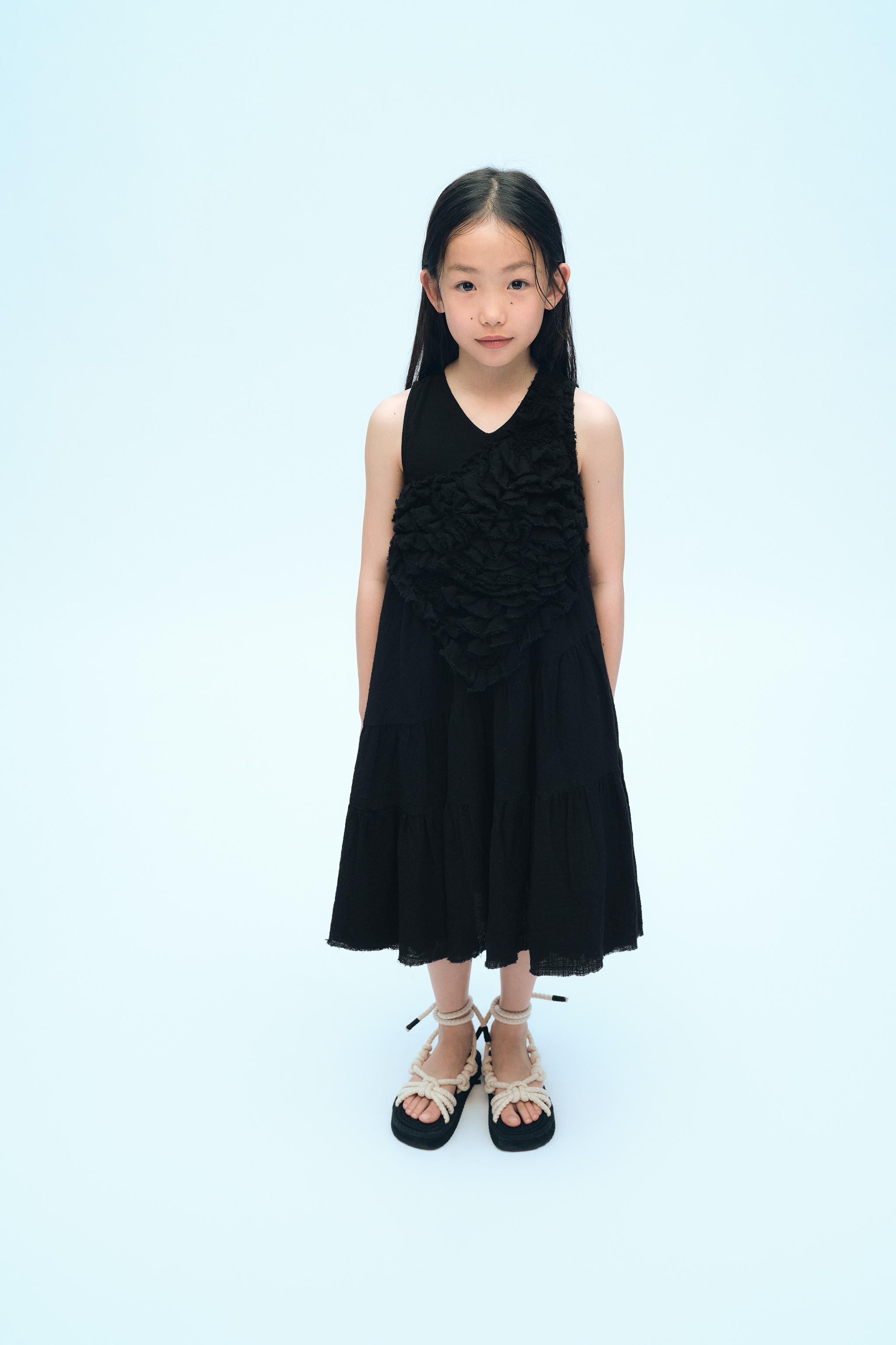 PANELED FULL CUT DRESS X FANGLU LIN - Black | ZARA Canada