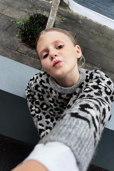 ANIMAL PRINT KNIT SWEATER - Mid-grey by Zara