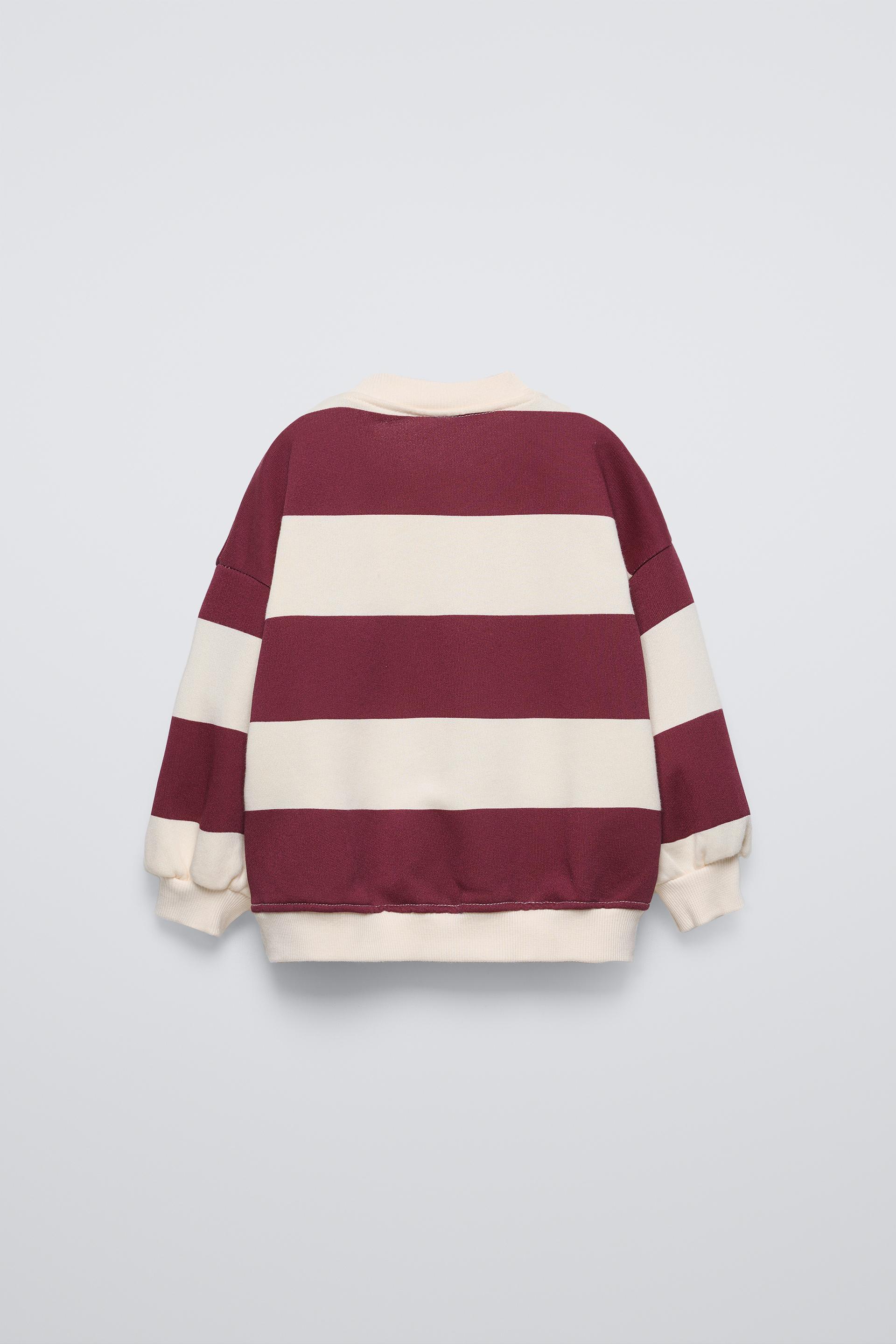 Embroidered sweater zara best sale