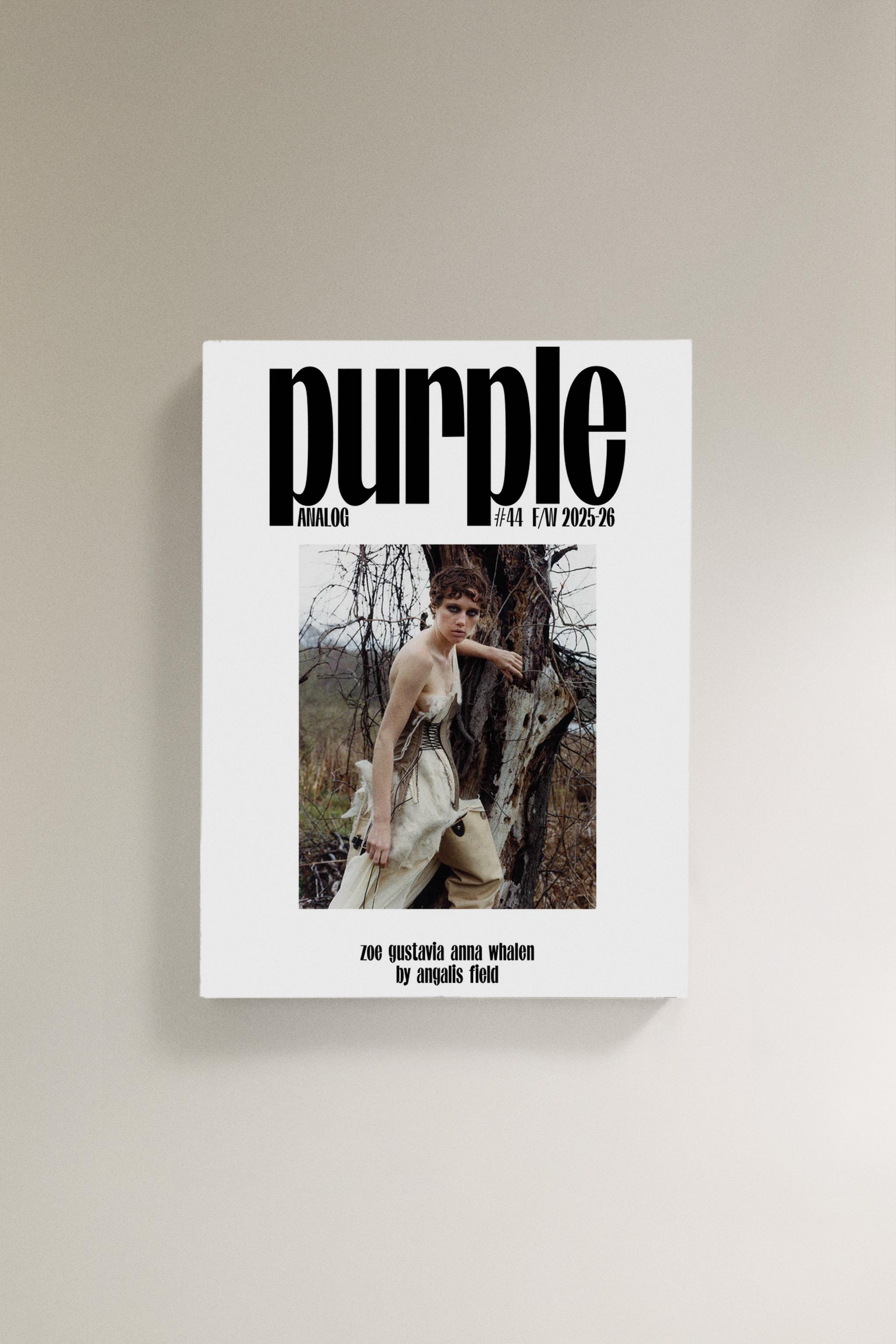 46345054017-e1.jpg?ts=